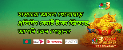 স্লট গেম ফ্রি স্পিন অফার promotion screenshot